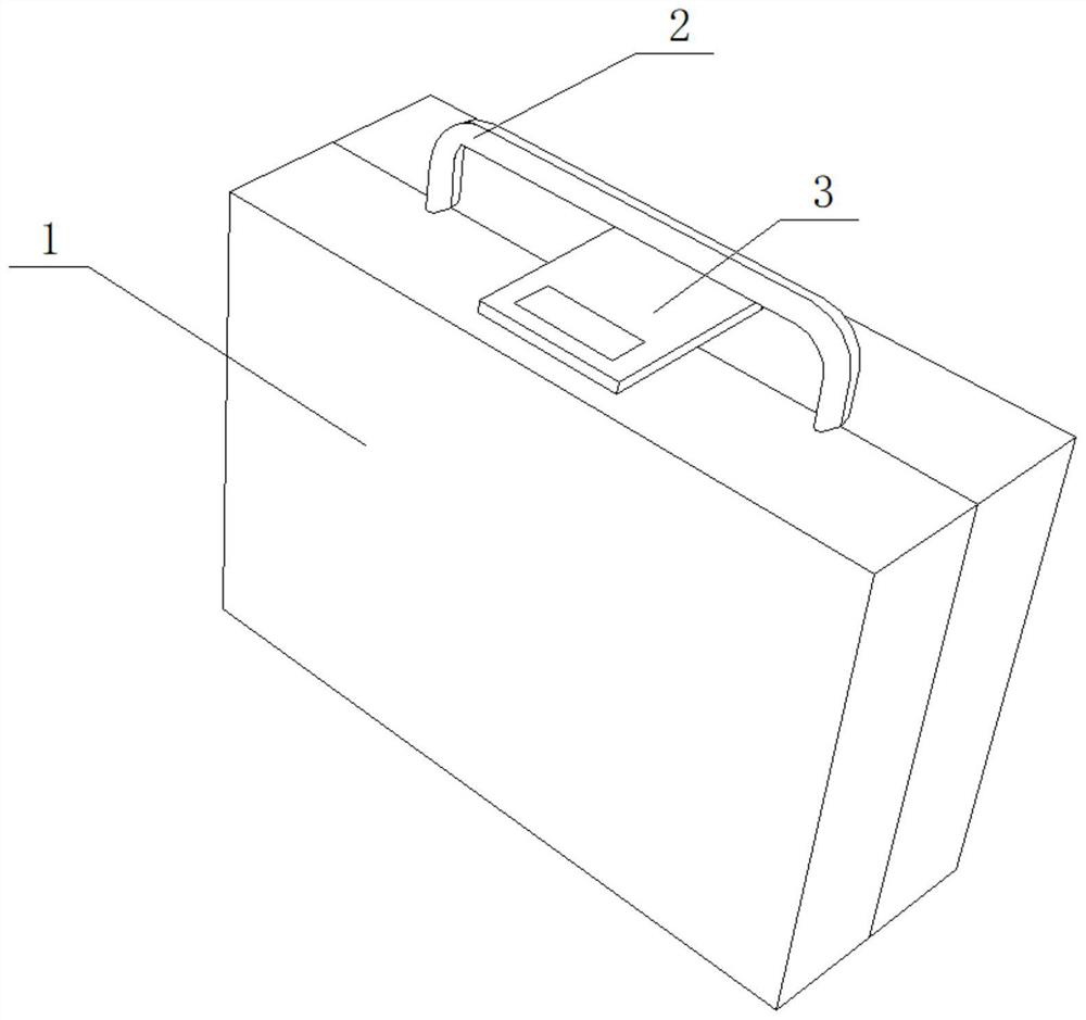 Lithium battery detection device