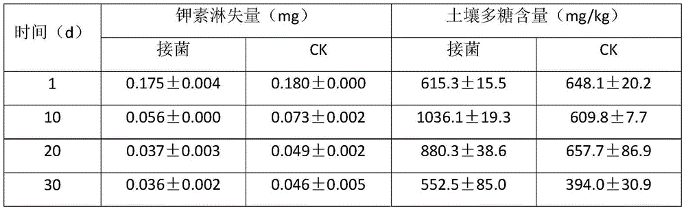 New applications of Rhizobium W33 strain