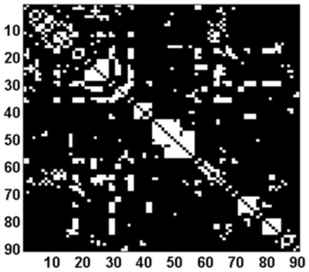 Computer classification lie detection and recognition method based on fMRI small-world brain network