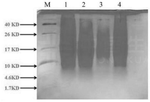 Method for preparing animal-derived extracellular matrix polypeptide by using physical method