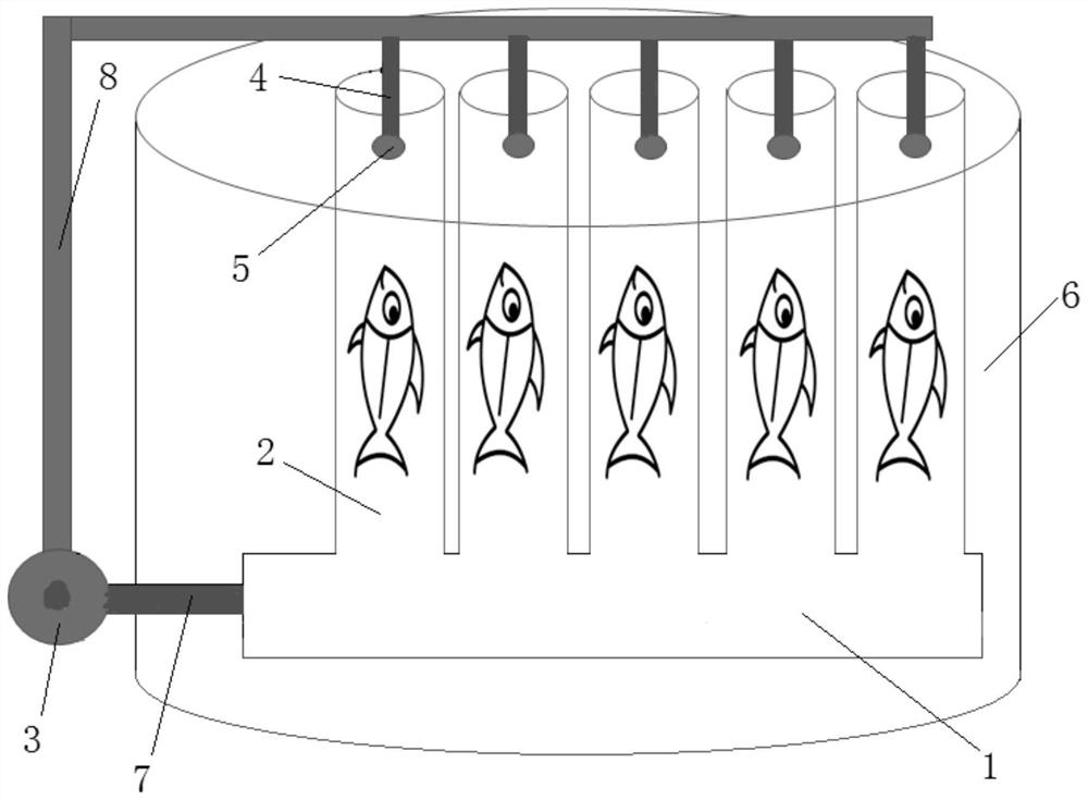 Method and device for temporarily raising juvenile tuna on a fishing boat