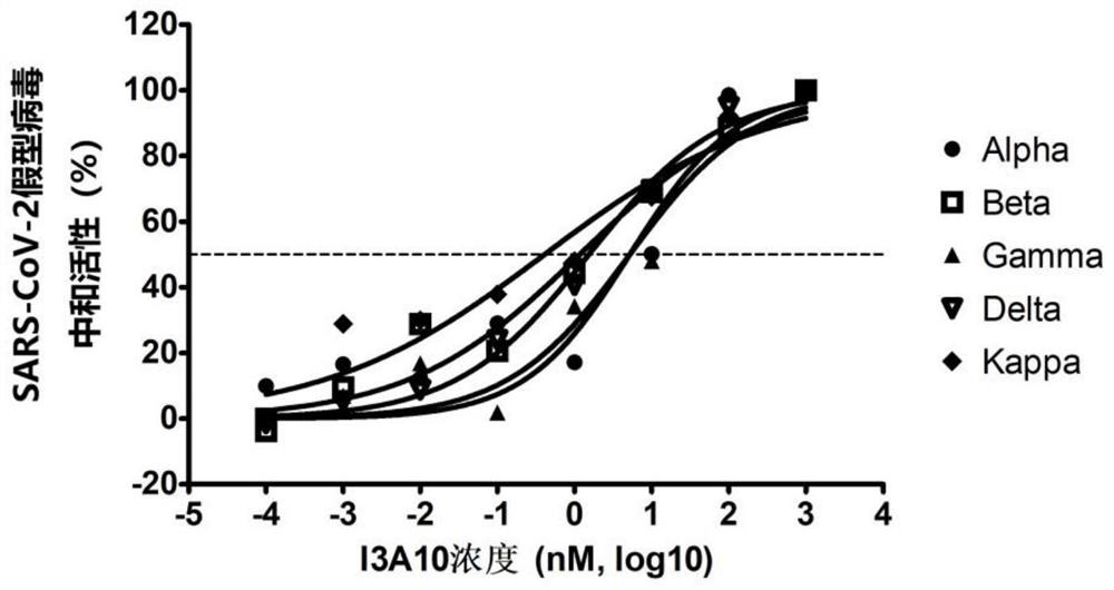 Novel coronavirus SARS-CoV-2 broad-spectrum neutralizing antibody and application thereof