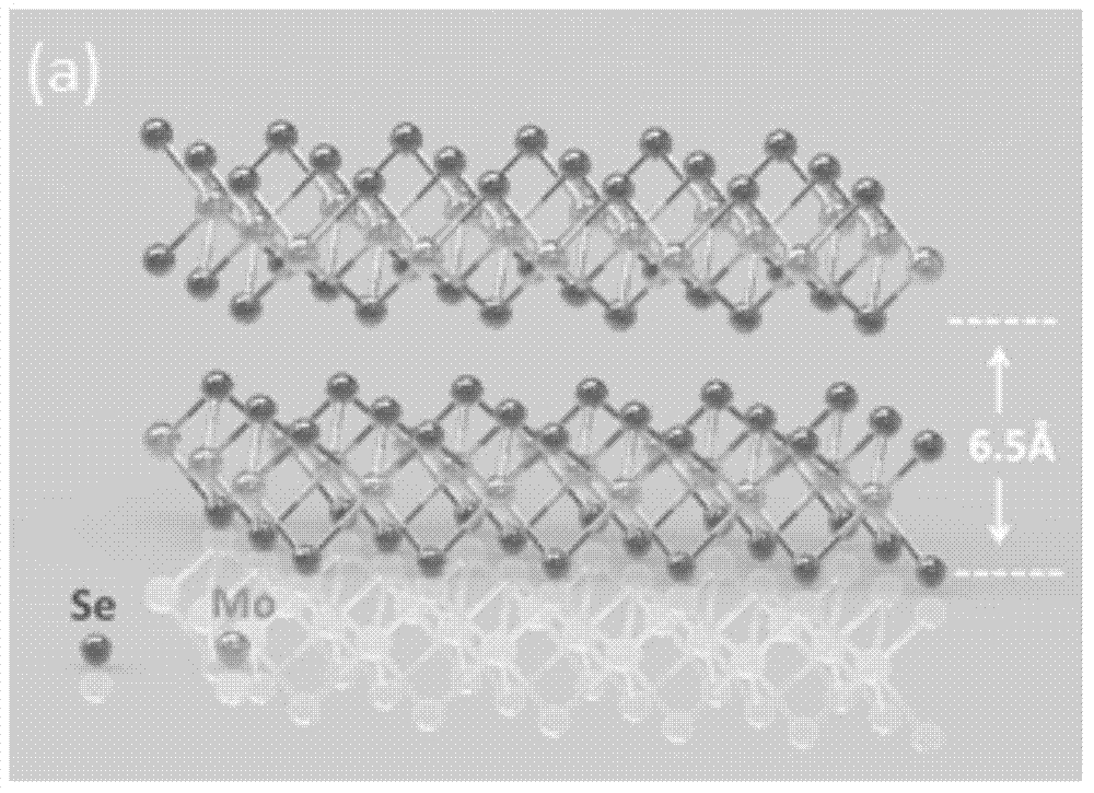 Preparation method of large-area single-layer or multi-layer molybdenum diselenide single chip