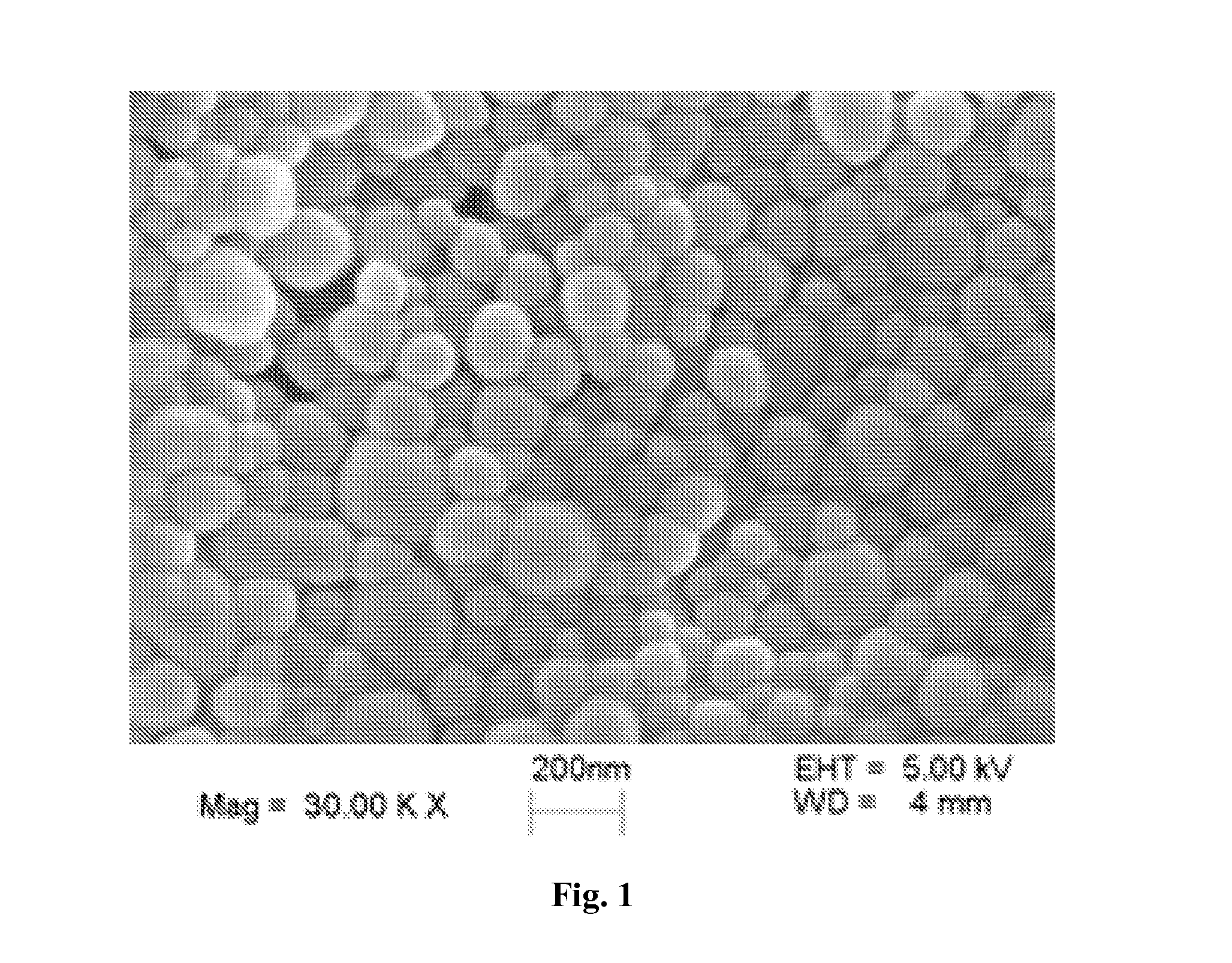 pH-SENSITIVE NANOPARTICLES FOR ORAL INSULIN DELIVERY