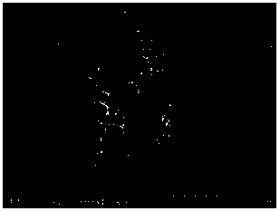 A method for in-situ coating of aluminum oxide insulating layer on the surface of metal soft magnetic powder