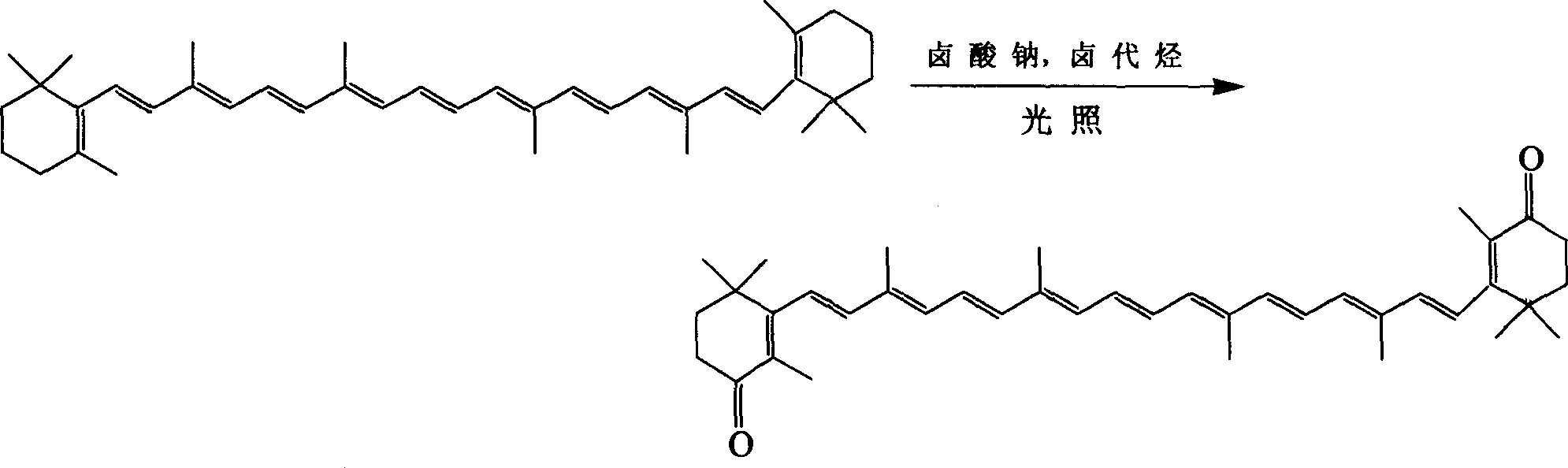 Process for preparing cantharides xanthin