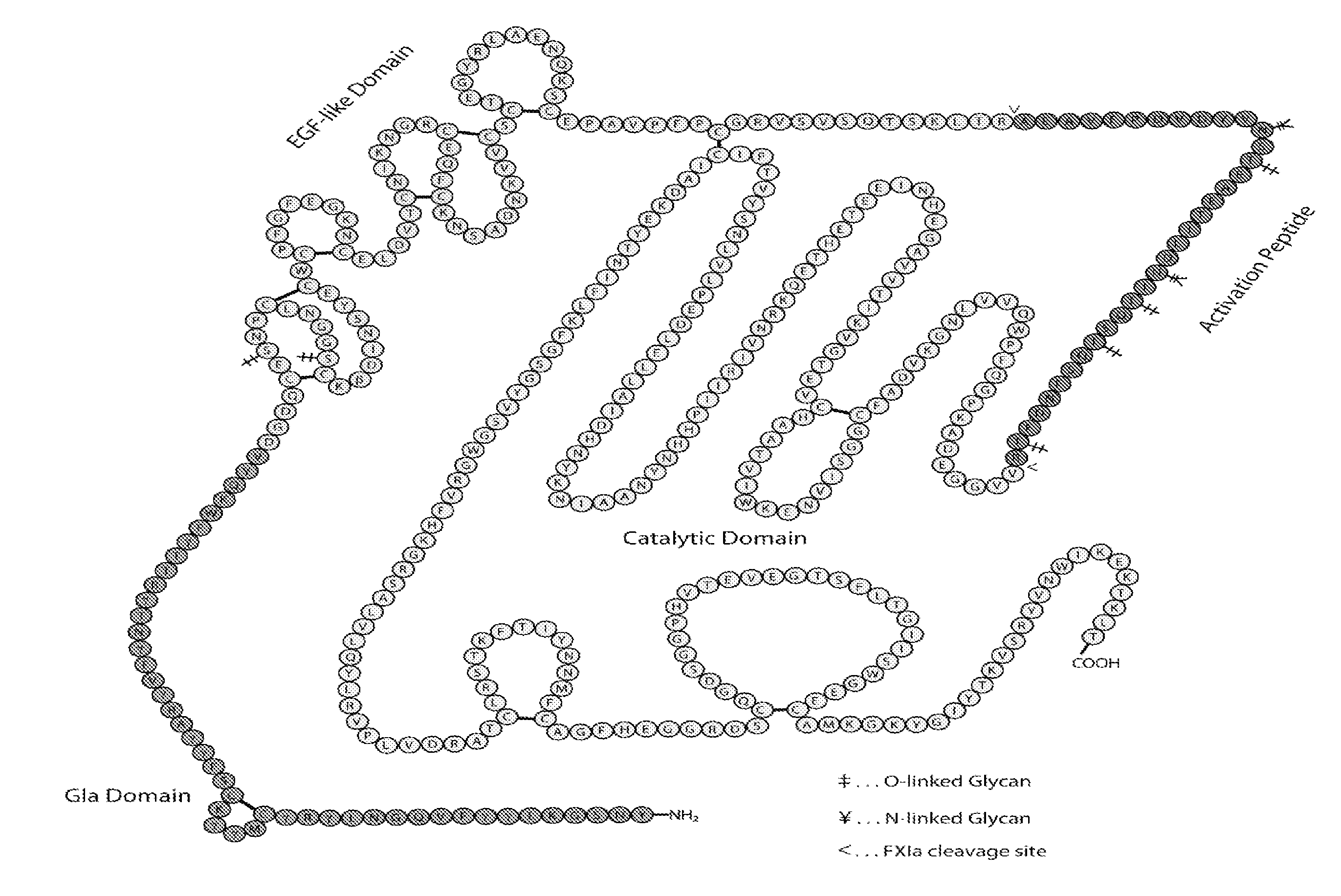 Nucleophilic catalysts for oxime linkage