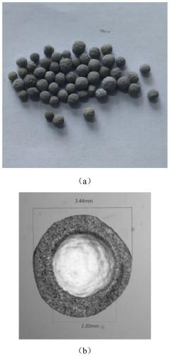 Active multifunctional carrier for microorganism self-repairing concrete and preparation method thereof