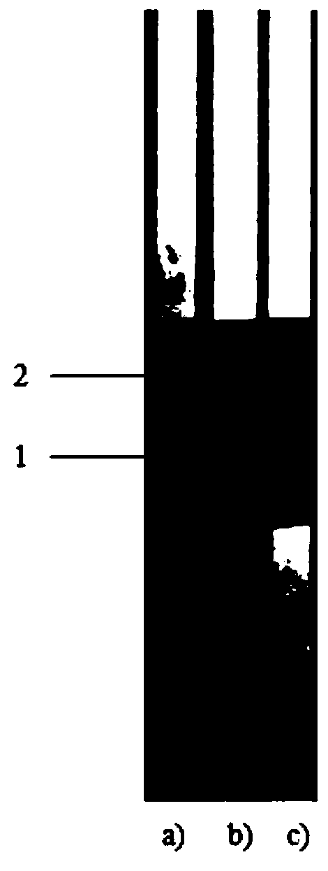 Competitive monoclonal antibody-based trichinosis antibody detection kit and preparation method thereof