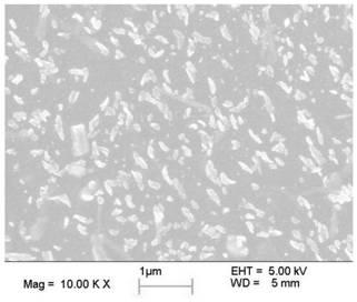 A kind of composite chitosan nanoparticle for treating bronchial asthma and application thereof