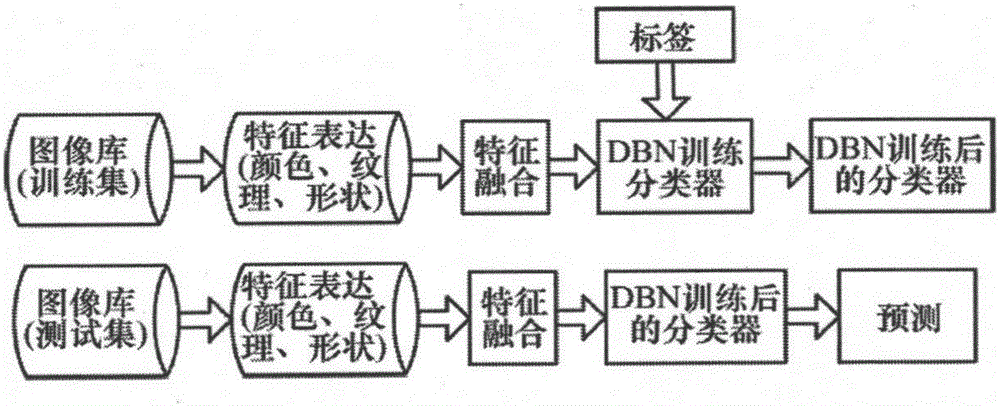 Deep belief network image classification protocol based on bottom layer fusion feature