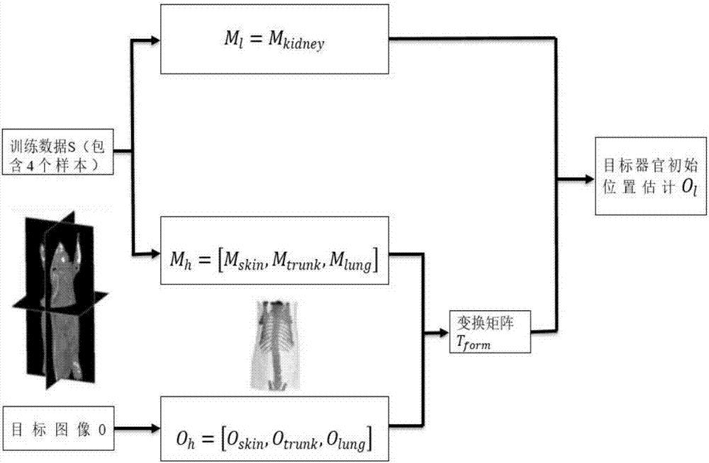 Mouse CT image kidney segmentation method based on random forest and statistic model