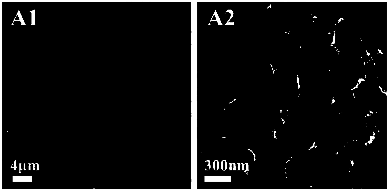 Spongy C-SiC composite material and preparation method thereof