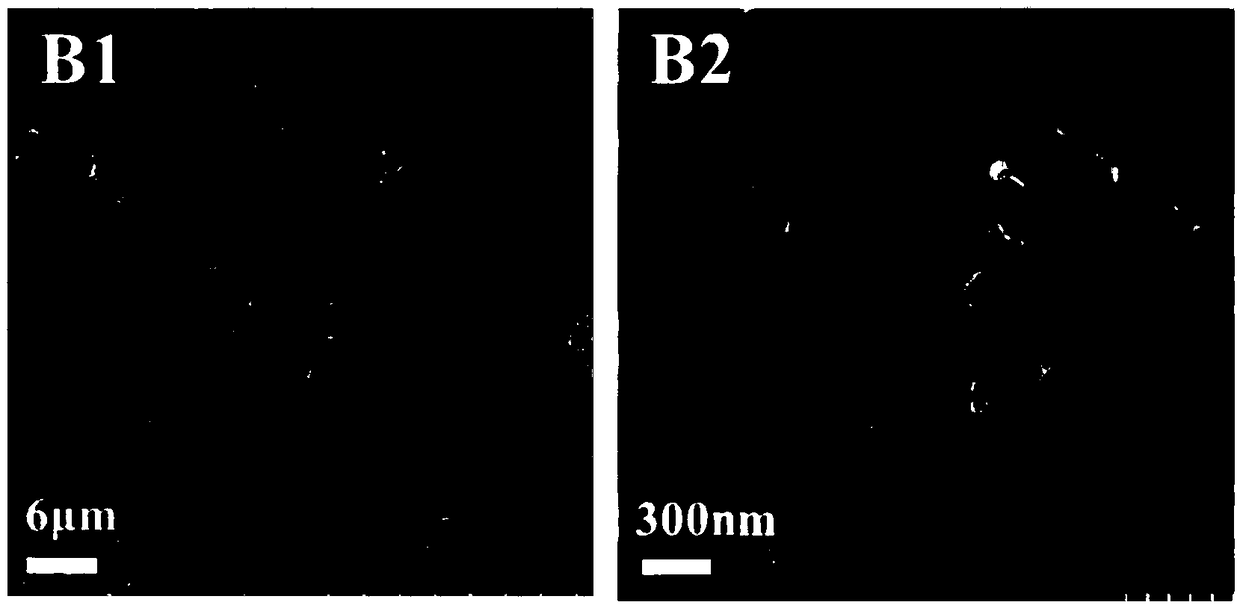 Spongy C-SiC composite material and preparation method thereof