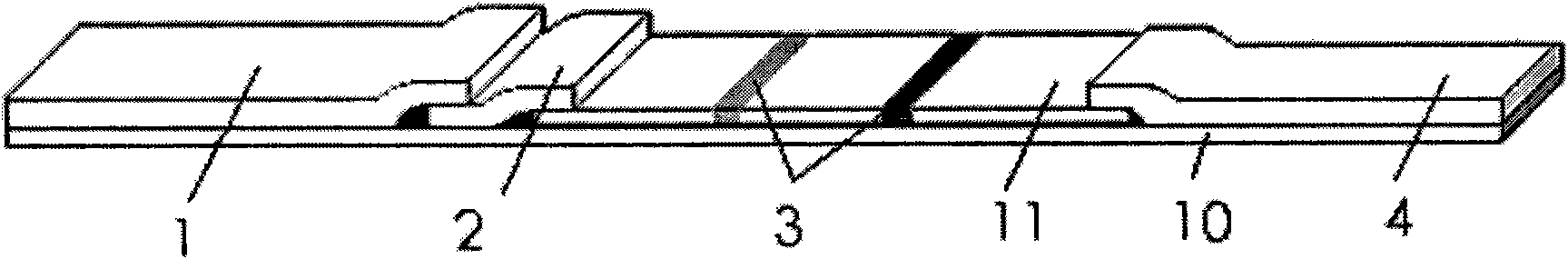 Immuno-chromatography detection device and detection method thereof