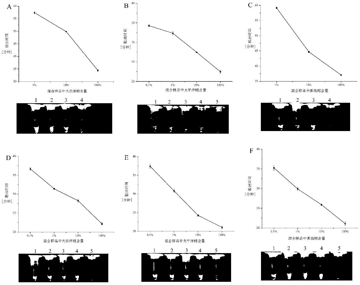 Identification on cods through loop-mediated isothermal amplification and primer used in identification