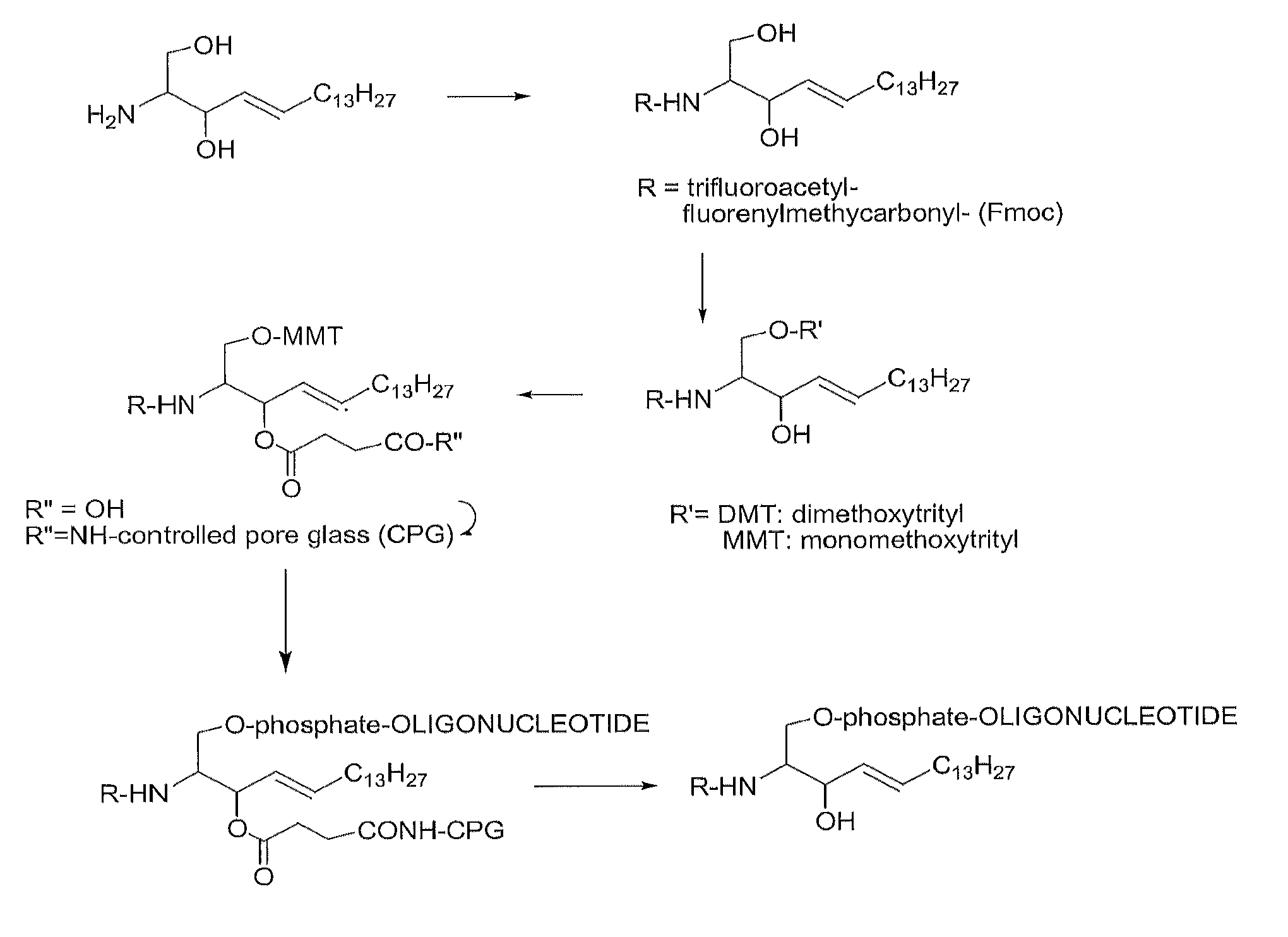 Sphingosine-bound siRNA