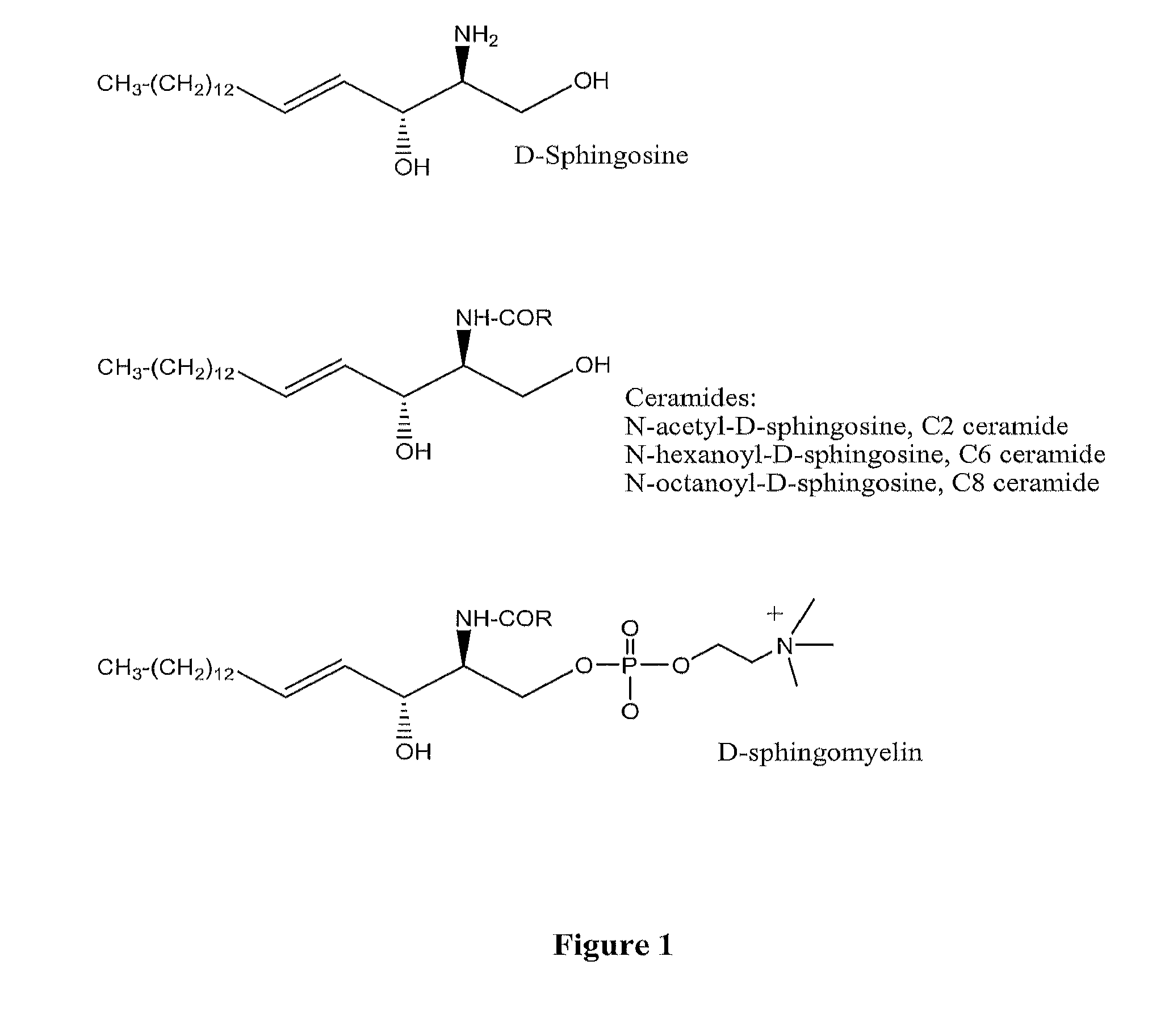 Sphingosine-bound siRNA