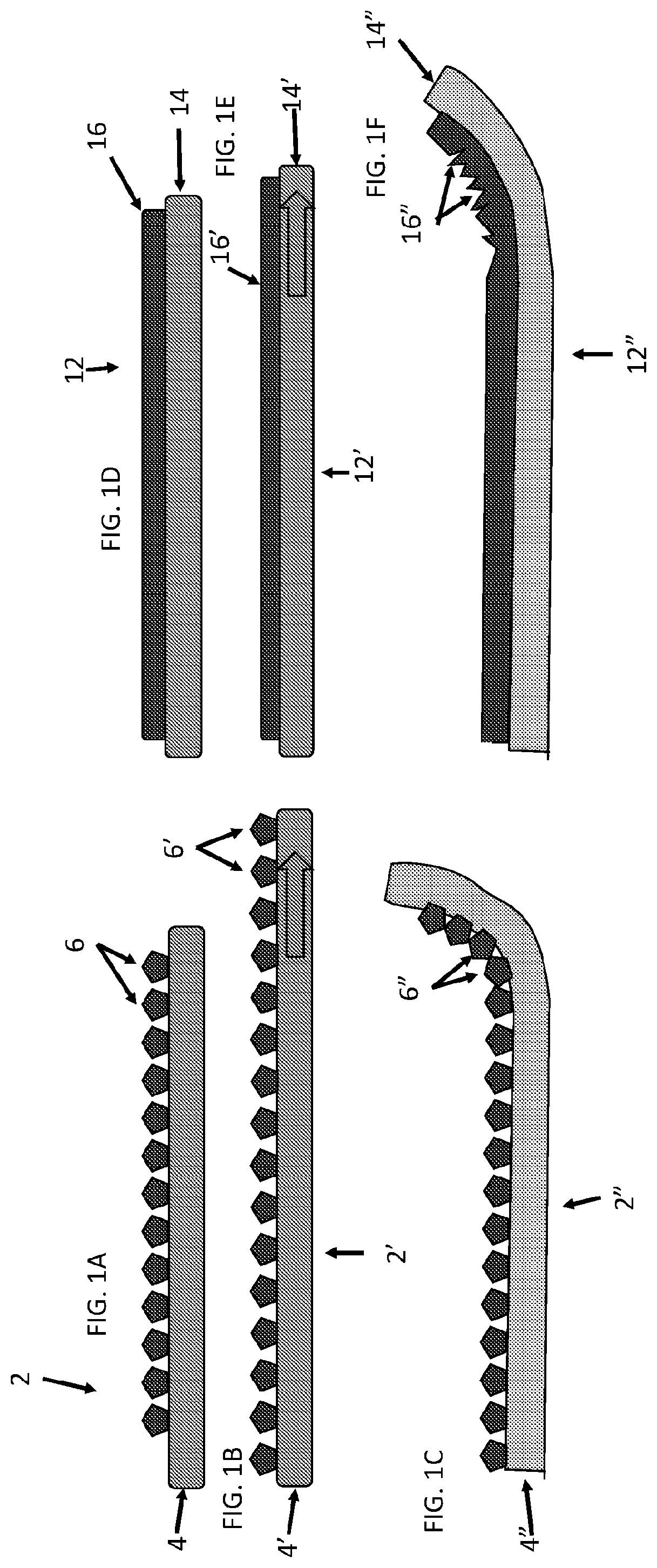 Surgical repair graft