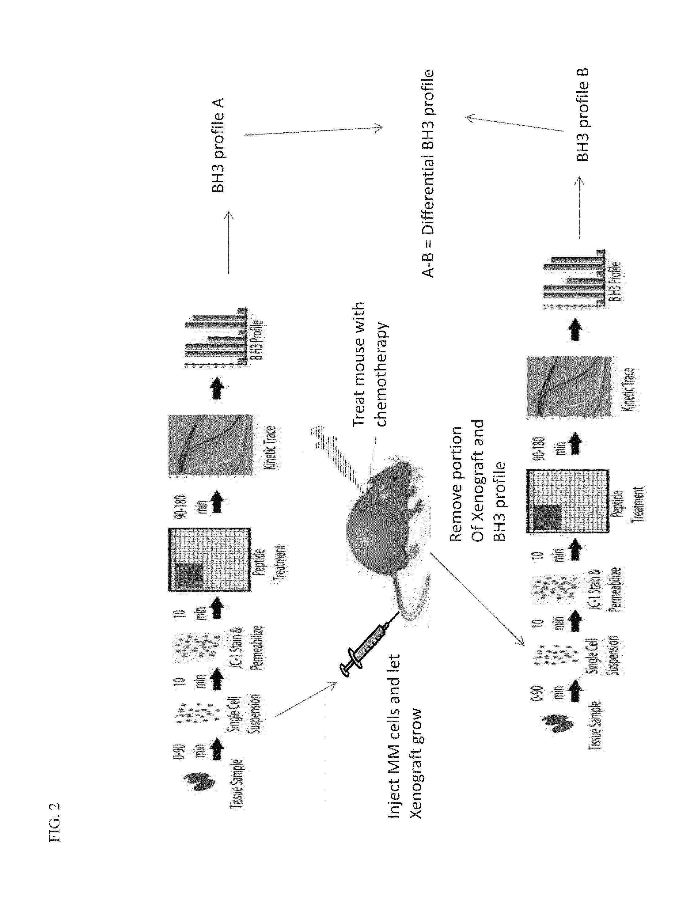 Differential bh3 mitochondrial profiling