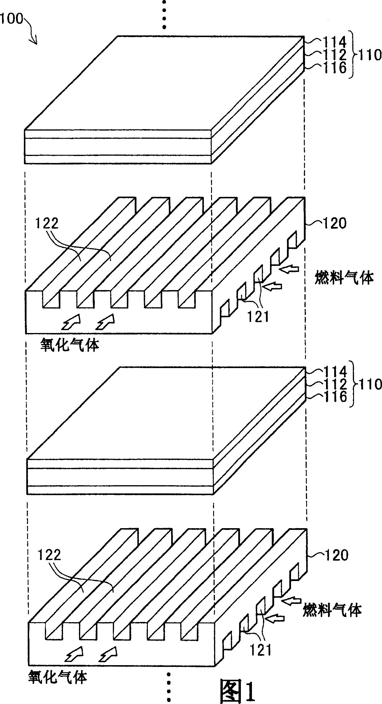 Cathode for fuel cell and process of the same