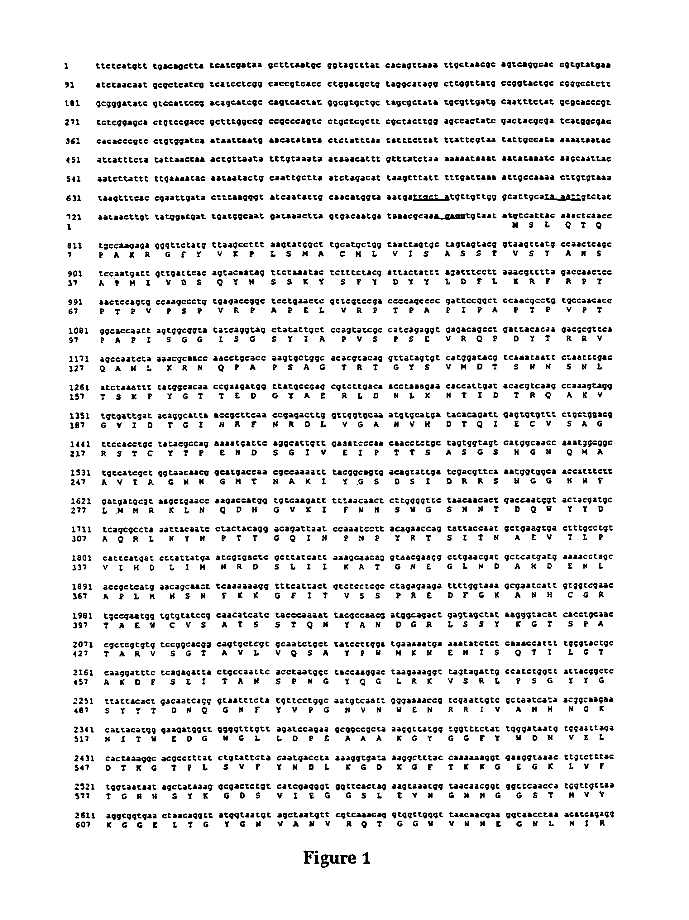 Vaccine antigens of <i>Moraxella</i>