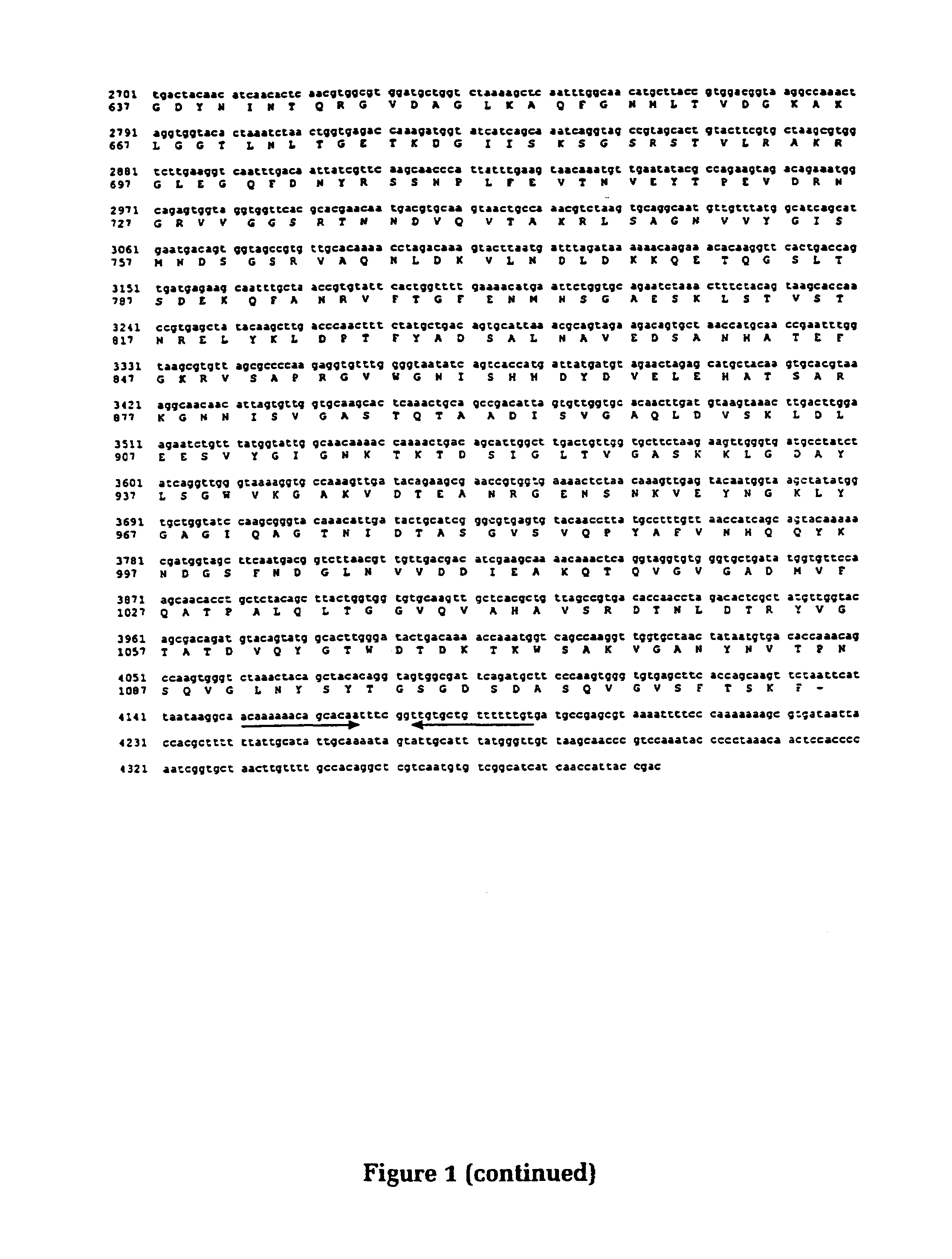 Vaccine antigens of <i>Moraxella</i>