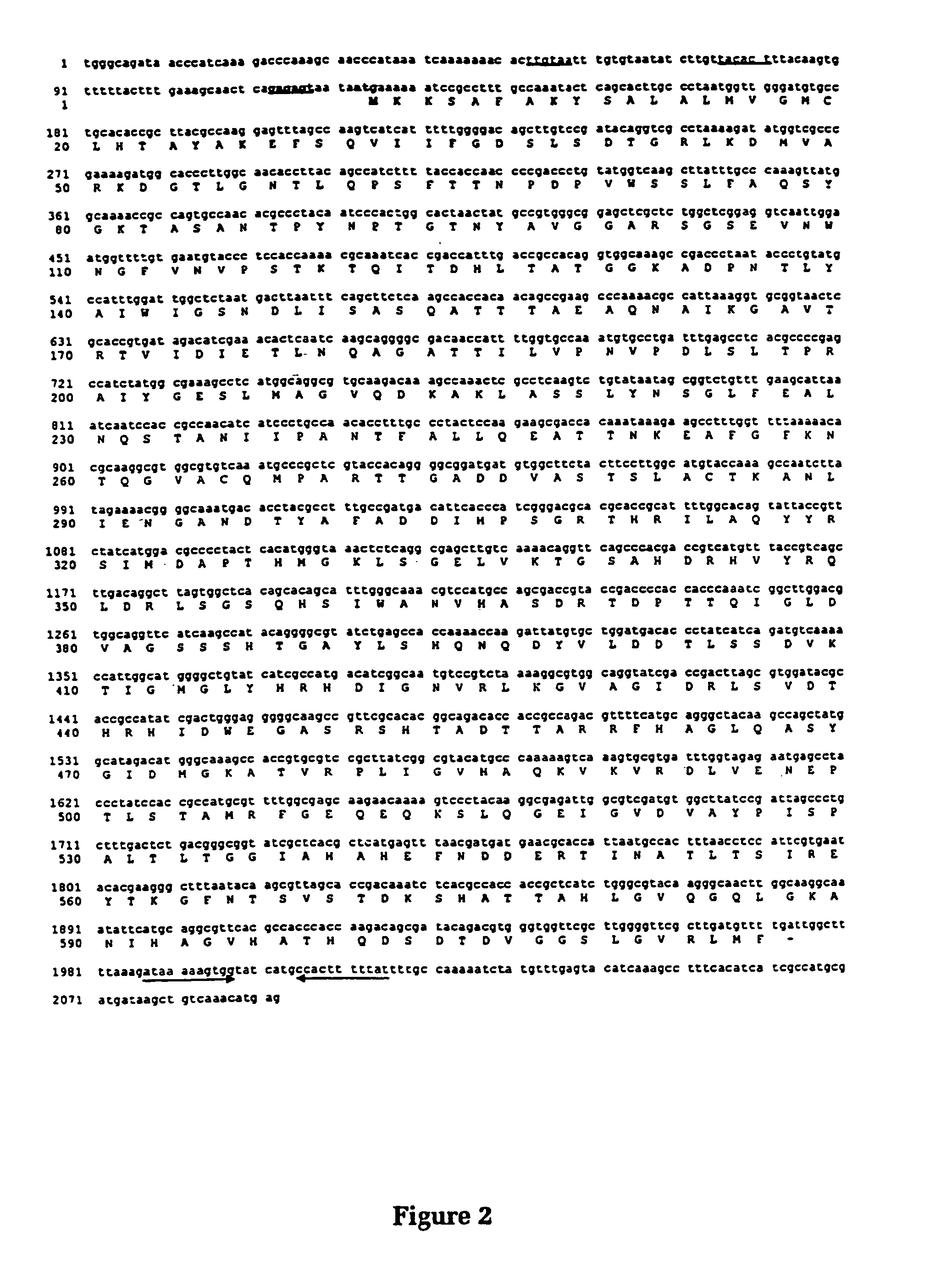 Vaccine antigens of <i>Moraxella</i>