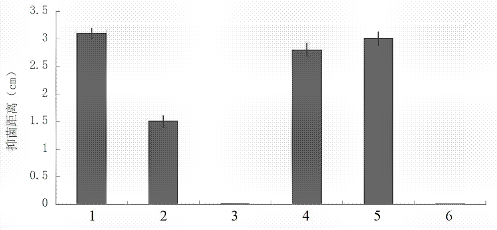 Bacterium for preventing and controlling banana wilt and application thereof