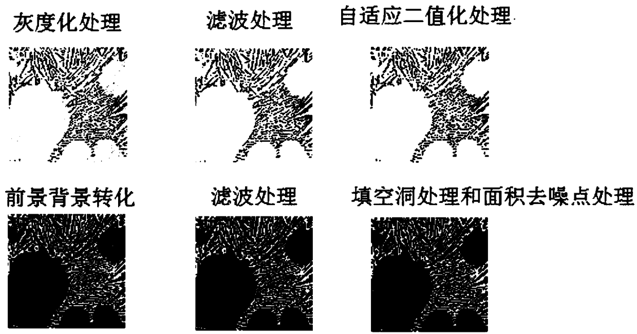 Hypereutectic/hypoeutectic Al-Si alloy metamorphic grading method based on image processing technology