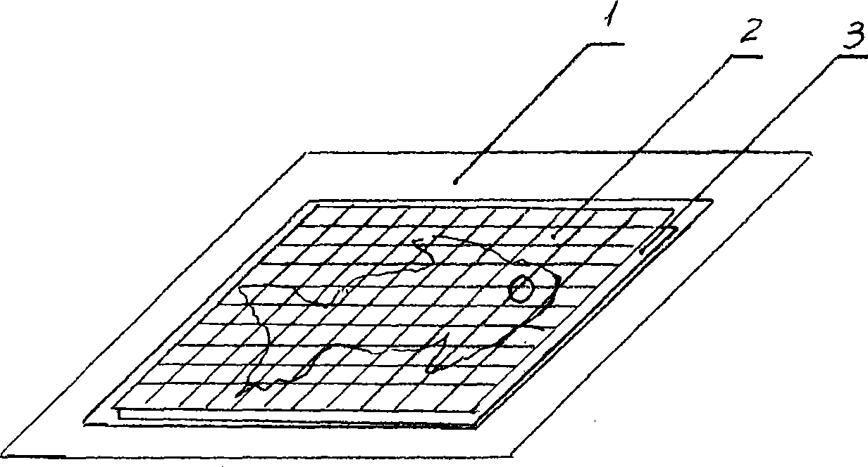 Cross-stitch embroidery method and template thereof