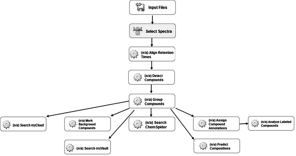 Method for identifying abnormal energy metabolism pathway of depression based on stable isotope tracing metabonomics