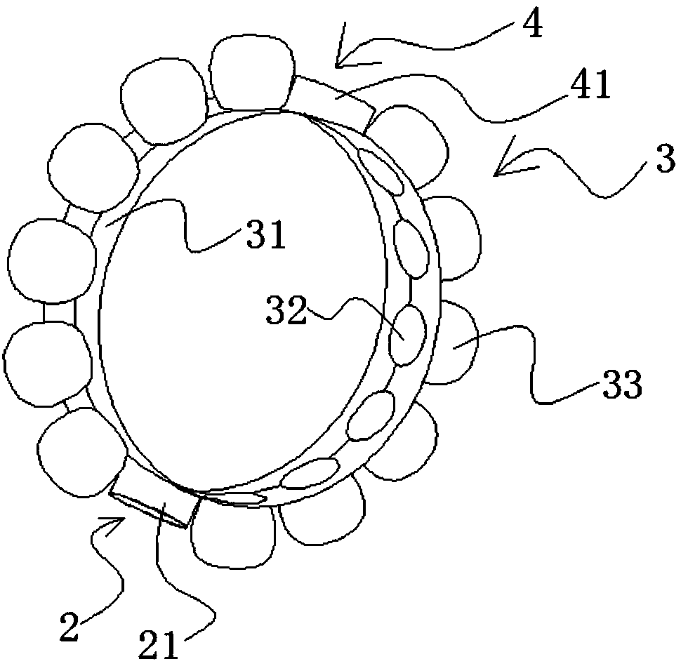 Blowout protection device and tires using a puncture protection device