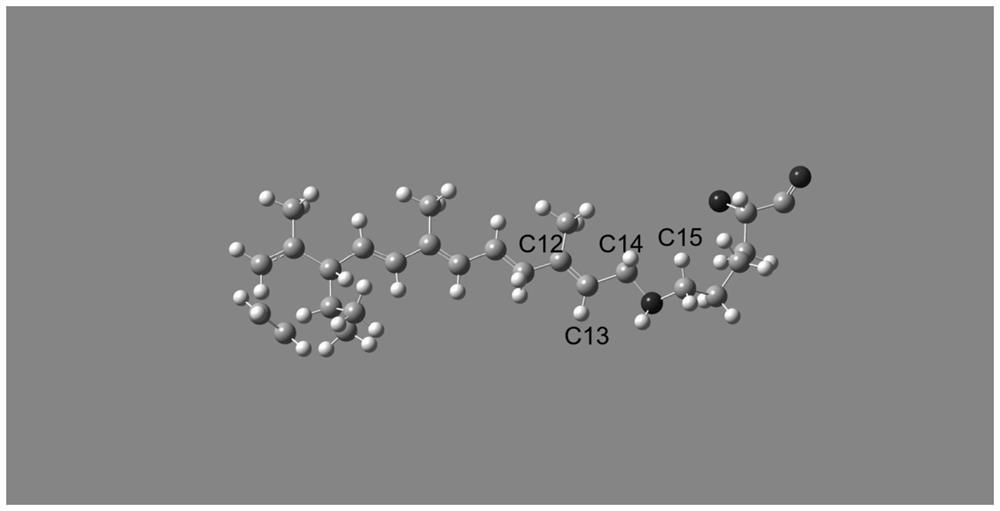 Visual violet light cycle simulation method based on molecular dynamics