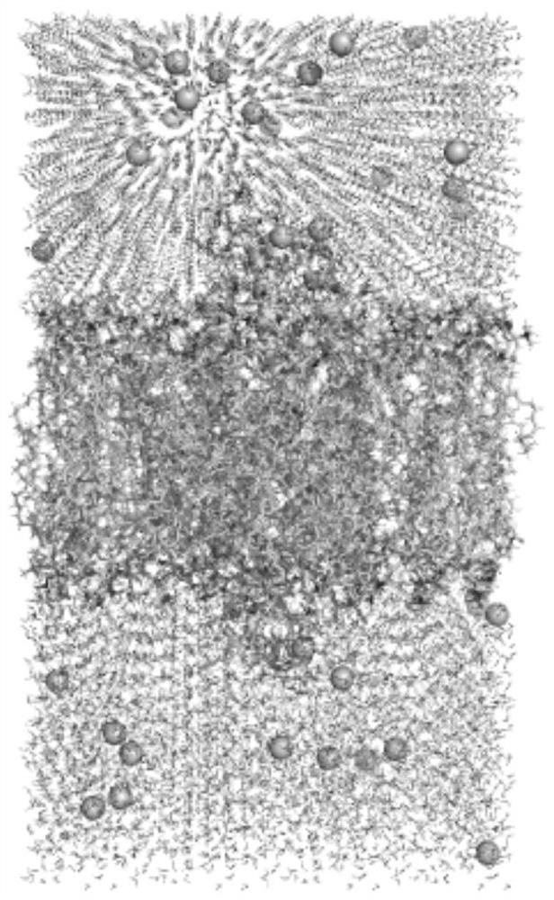 Visual violet light cycle simulation method based on molecular dynamics