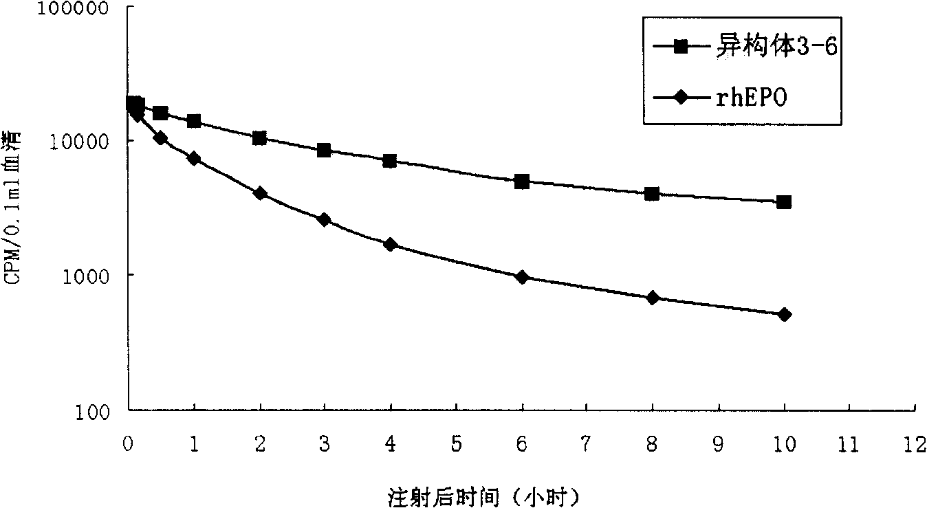 New erythrocyte-stimulating factor analogues