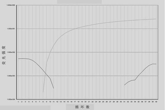 Detection method for BRAF gene mutation