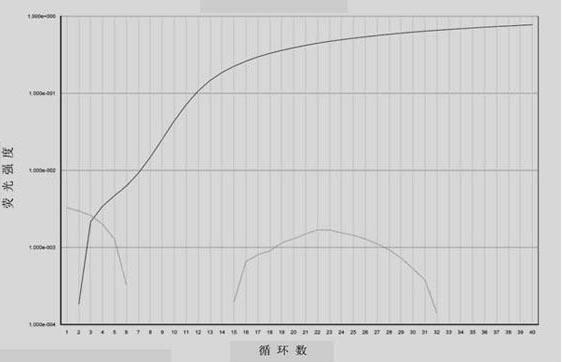 Detection method for BRAF gene mutation