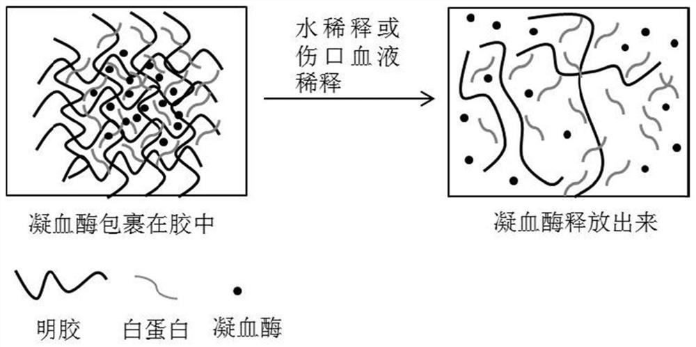 Hemostatic composite hydrogel as well as preparation method and application thereof