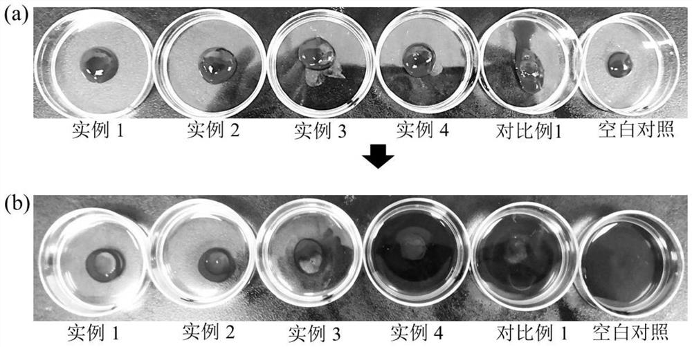 Hemostatic composite hydrogel as well as preparation method and application thereof