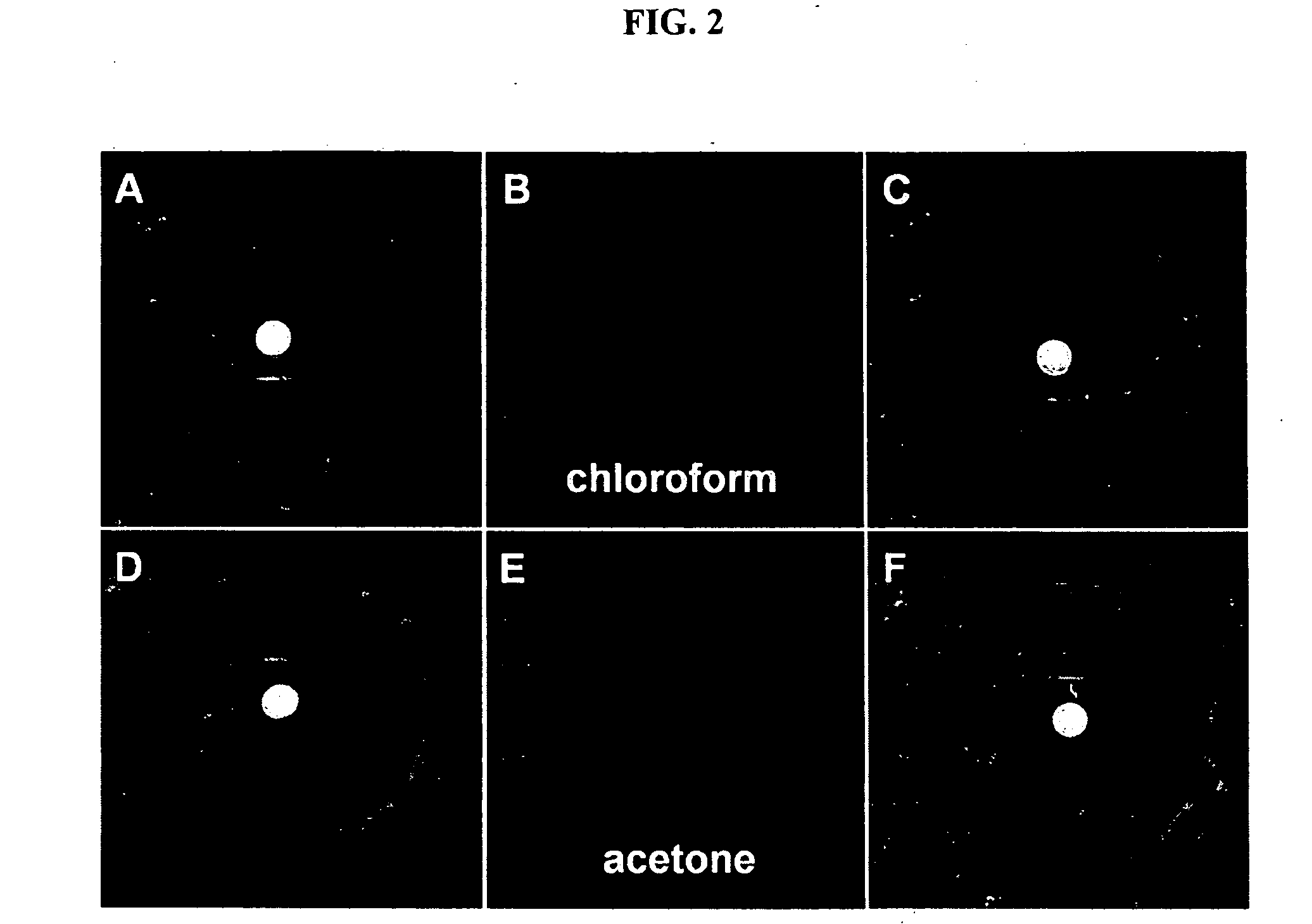 Environment sensor and conjugated polyene for manufacturing environment sensors