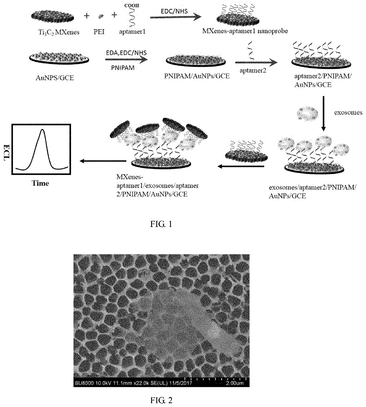 Biosensor based on trititanium dicarbide two-dimensional metal carbide catalyzed luminol electrogenerated chemiluminescence probe and preparation method