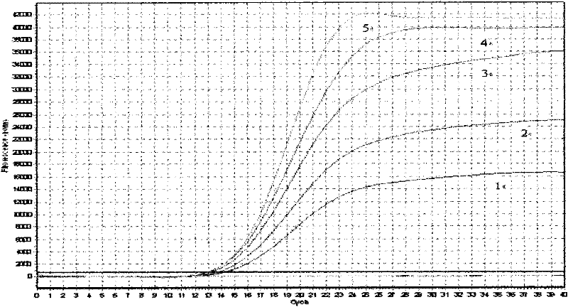 Variant porcine reproductive and respiratory syndrome virus (PRRSV) TaqMan fluorescence quantitative RT-PCR detecting kit and application thereof