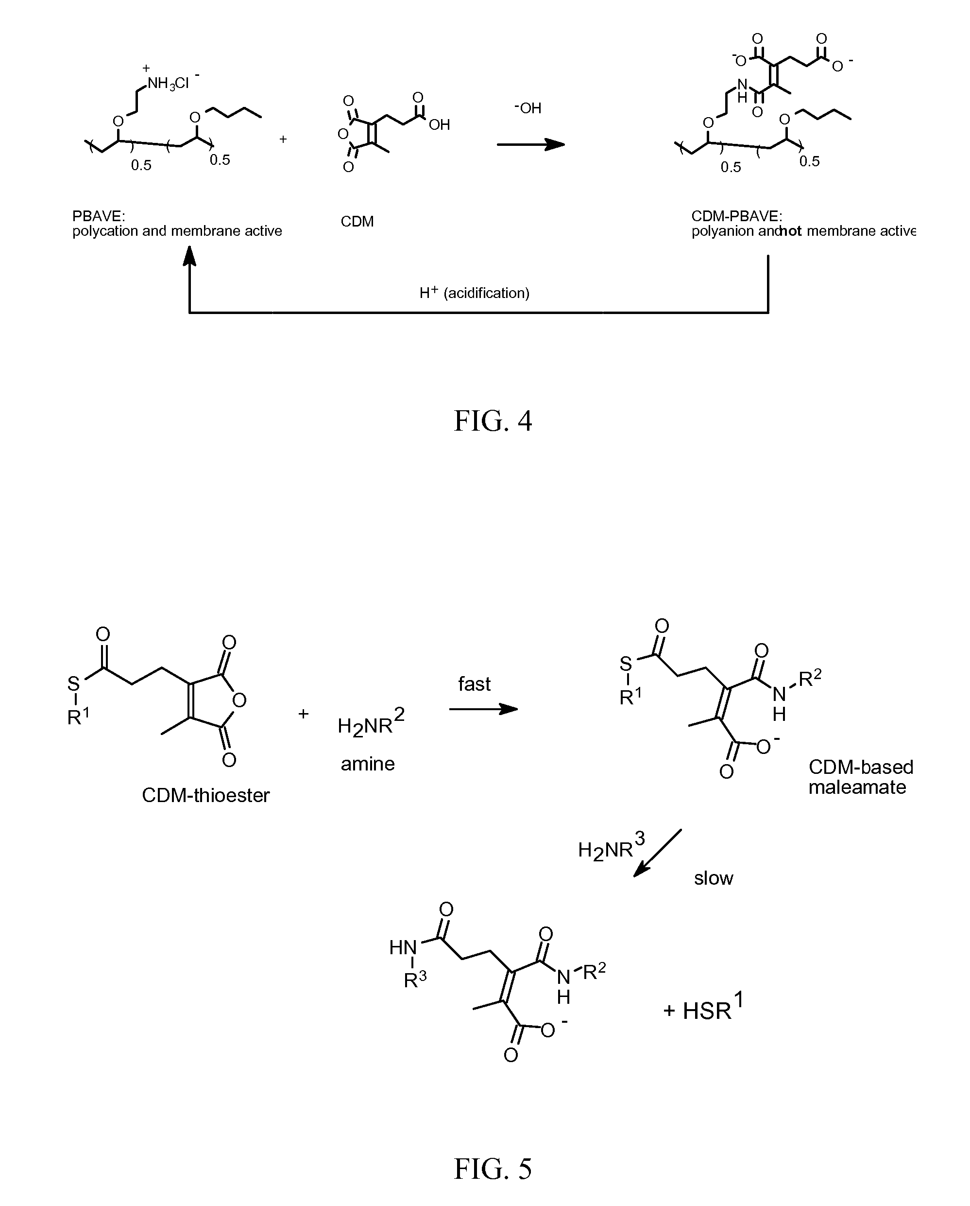 Endosomolytic polymers