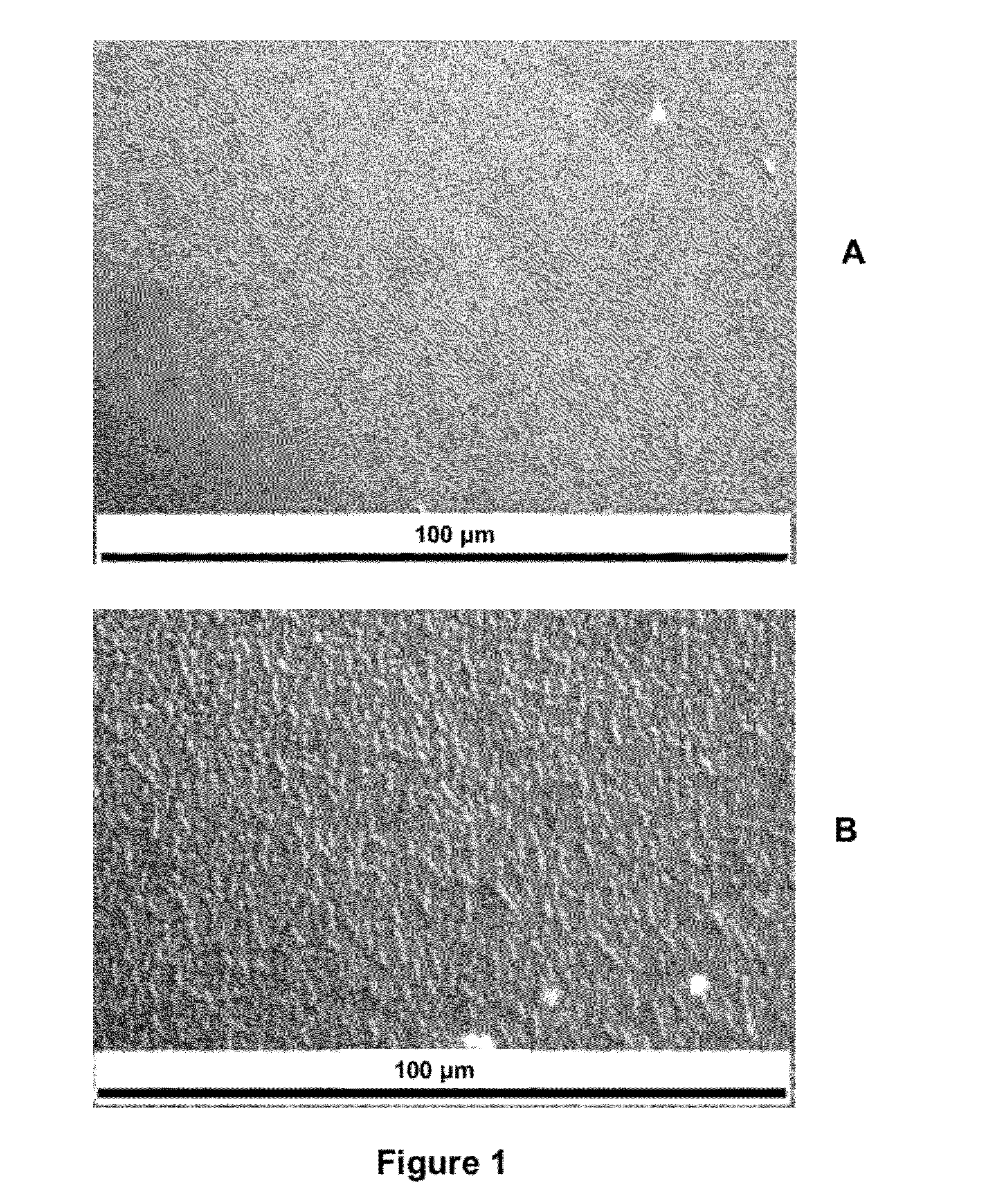 Silicone hydrogel lenses with nano-textured surfaces