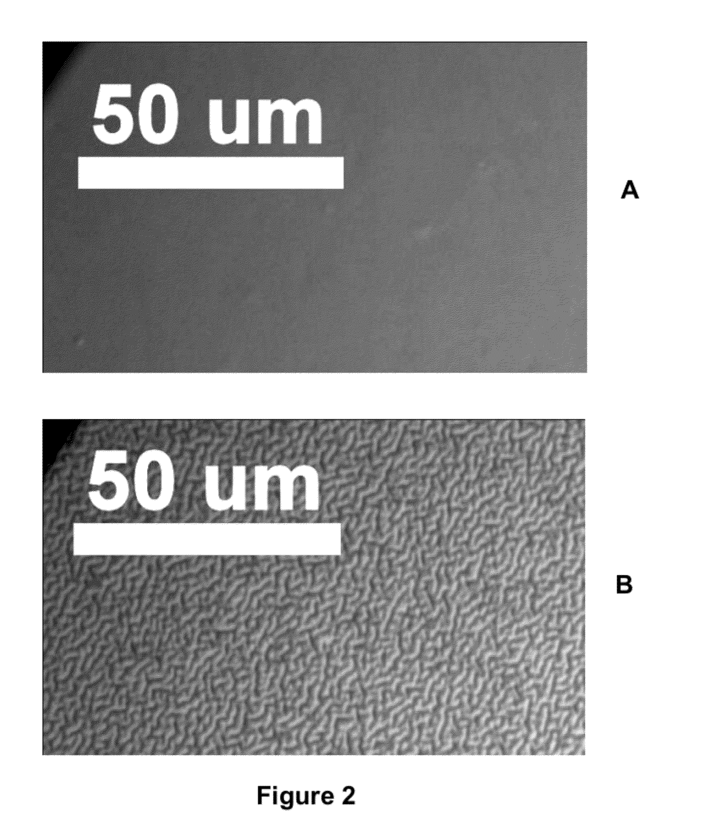 Silicone hydrogel lenses with nano-textured surfaces