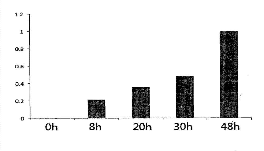 Method for degrading BCL11B protein