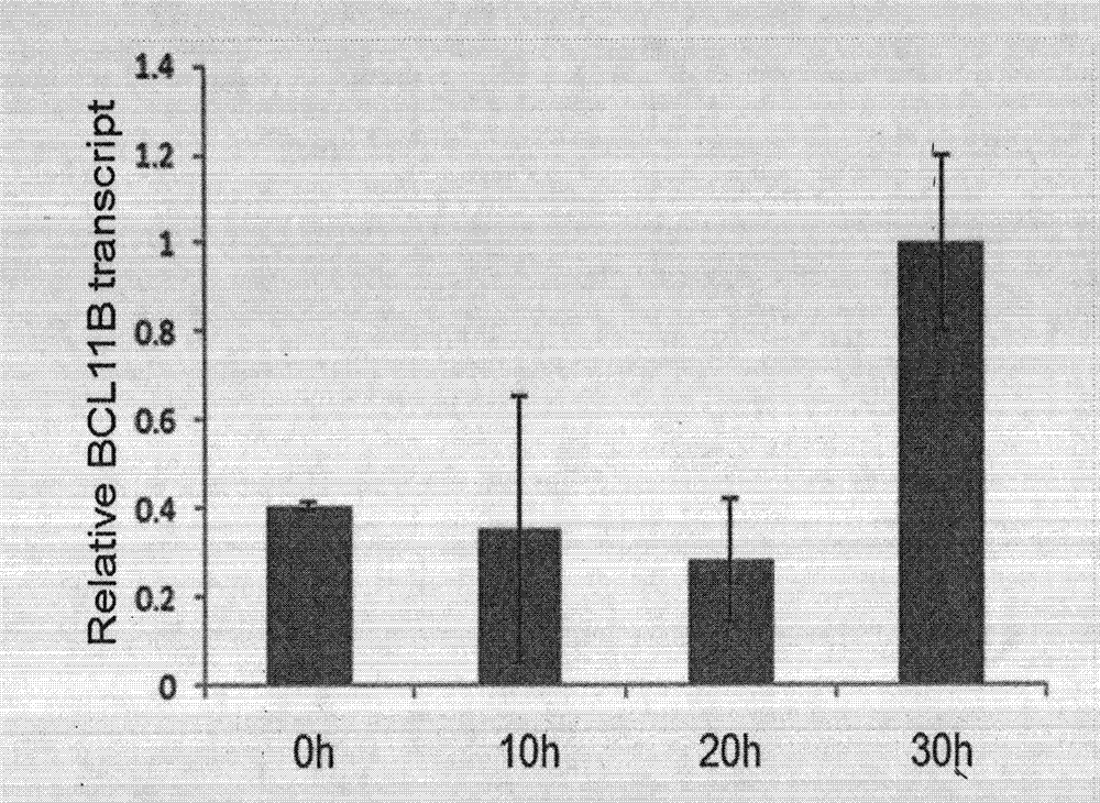 Method for degrading BCL11B protein