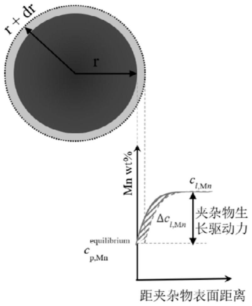 Prediction simulation method for macrosegregation and precipitation of inclusions in cast ingot