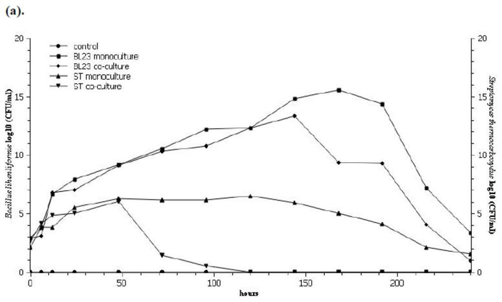 A strain of Bacillus licheniformis Umami No. 1 with the ability to inhibit the formation of earthy smell substances in aquatic products and its application